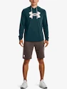 Heren hoodie Under Armour  Rival Terry Logo Hoodie-GRN