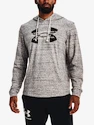 Heren hoodie Under Armour  Rival Terry Logo Hoodie-WHT