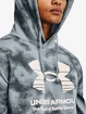 Heren hoodie Under Armour  Rival Terry Novelty HD-BLU