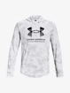 Heren hoodie Under Armour  Rival Terry Novelty HD-WHT