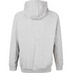 Heren hoodie Virtus  Oralie Hoody grey