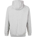 Heren hoodie Virtus  Oralie Hoody grey