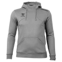 Heren hoodie Warrior Alpha X Aspire Hoody Gray 3XL