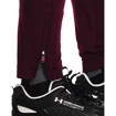 Heren joggingbroek Under Armour  Terry Pant Red