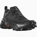 Heren outdoorschoenen Salomon  CROSS HIKE GTX 2