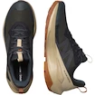 Heren outdoorschoenen Salomon Elixir Activ Gore-Tex Phantom/Safari/Caramel Cafe