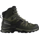 Heren outdoorschoenen Salomon Quest 4 Gore-Tex Olive Night/Peat/Safari  UK 8,5