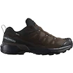 Heren outdoorschoenen Salomon X Ultra 360 Leather Gore-Tex Dark Earth/Delicioso/Sharkskin