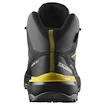 Heren outdoorschoenen Salomon X Ultra 360 MID Gore-Tex Castlerock/Black/Spicy Mustard