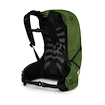 Heren rugzak OSPREY TALON 22 green belt/black