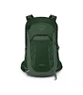 Heren rugzak OSPREY TALON 22 green canopy/pine leaf