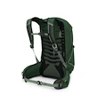 Heren rugzak OSPREY TALON 22 green canopy/pine leaf