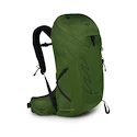 Heren rugzak OSPREY TALON 26 green belt/black