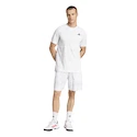 Heren short adidas  Club Graphic Short White/Grey