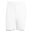 Heren short adidas  Club Short White