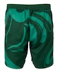 Heren short Fila  Shorts Leo Aventurine/Print