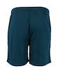 Heren short FZ Forza  Landos M Shorts Poseidon