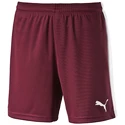 Heren short Puma  Pitch