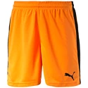 Heren short Puma  Pitch