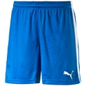 Heren short Puma  Pitch