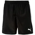 Heren short Puma  Pitch