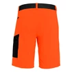 Heren short Salewa  Pedroc Cargo 2 Dst Red Orange