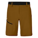 Heren short Salewa  Puez 3 DST M Shorts Golden Brown L