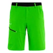 Heren short Salewa  Puez 3 Dst Pale Frog L