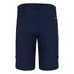 Heren short Salewa  Puez DST M Cargo Shorts Navy Blazer