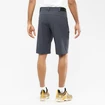 Heren short Salomon  Wayfarer Shorts Ebony