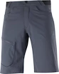 Heren short Salomon  Wayfarer Shorts Ebony 48