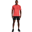 Heren short Under Armour