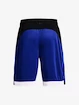 Heren short Under Armour  BASELINE 10'' SHORT-BLU