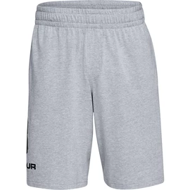 Heren short Under Armour COTTON BIG LOGO SHORTS gray