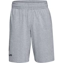 Heren short Under Armour  COTTON BIG LOGO SHORTS gray XXL