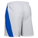 Heren short Under Armour  Launch SW 7"  gray