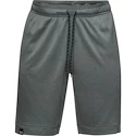 Heren short Under Armour  Lighter Longer Short S