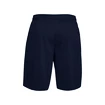 Heren short Under Armour  Tech Mesh Shorts blue