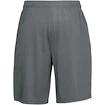 Heren short Under Armour  Tech Mesh Shorts gray