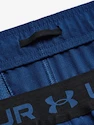 Heren short Under Armour  Vanish Woven 6in Shorts-BLU