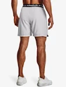 Heren short Under Armour  Vanish Woven 6in Shorts-GRY