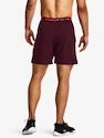 Heren short Under Armour  Vanish Woven 6in Shorts-MRN