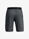 Heren short Under Armour  Vanish Woven 8in Shorts-GRY