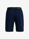 Heren short Under Armour  Vanish Woven 8in Shorts-NVY