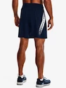 Heren short Under Armour  Woven Graphic Shorts-NVY