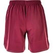 Heren short Virtus  Virtus Coimba purple