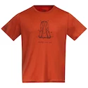 Heren T-shirt Bergans  Graphic Wool Brick XL