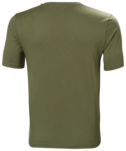 Heren T-shirt Helly Hansen  F2F Organic Cotton T-Shirt Lav Green