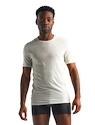 Heren T-shirt Icebreaker  Anatomica SS Crewe white XL