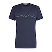 Heren T-shirt Icebreaker Merino 150 Tech Lite SS T Icebreaker Graphite